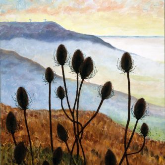 Teasels Roundway Hill Wiltshire - Ref photo by Sarah Hill