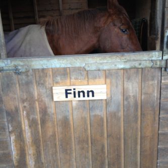 Stable horse nameplate sign